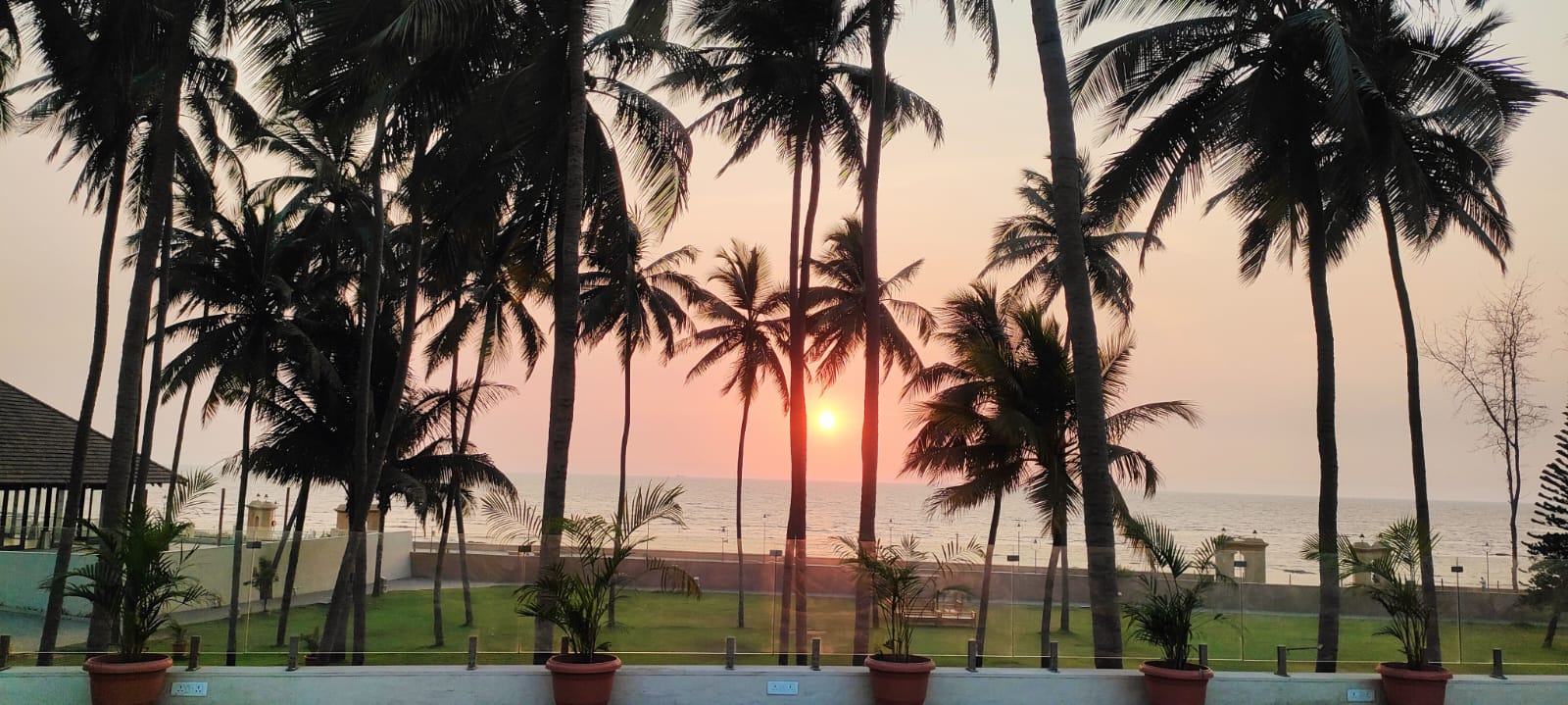 Zytex Biotech Company Mumbai, India Enzymes & Biotech Products