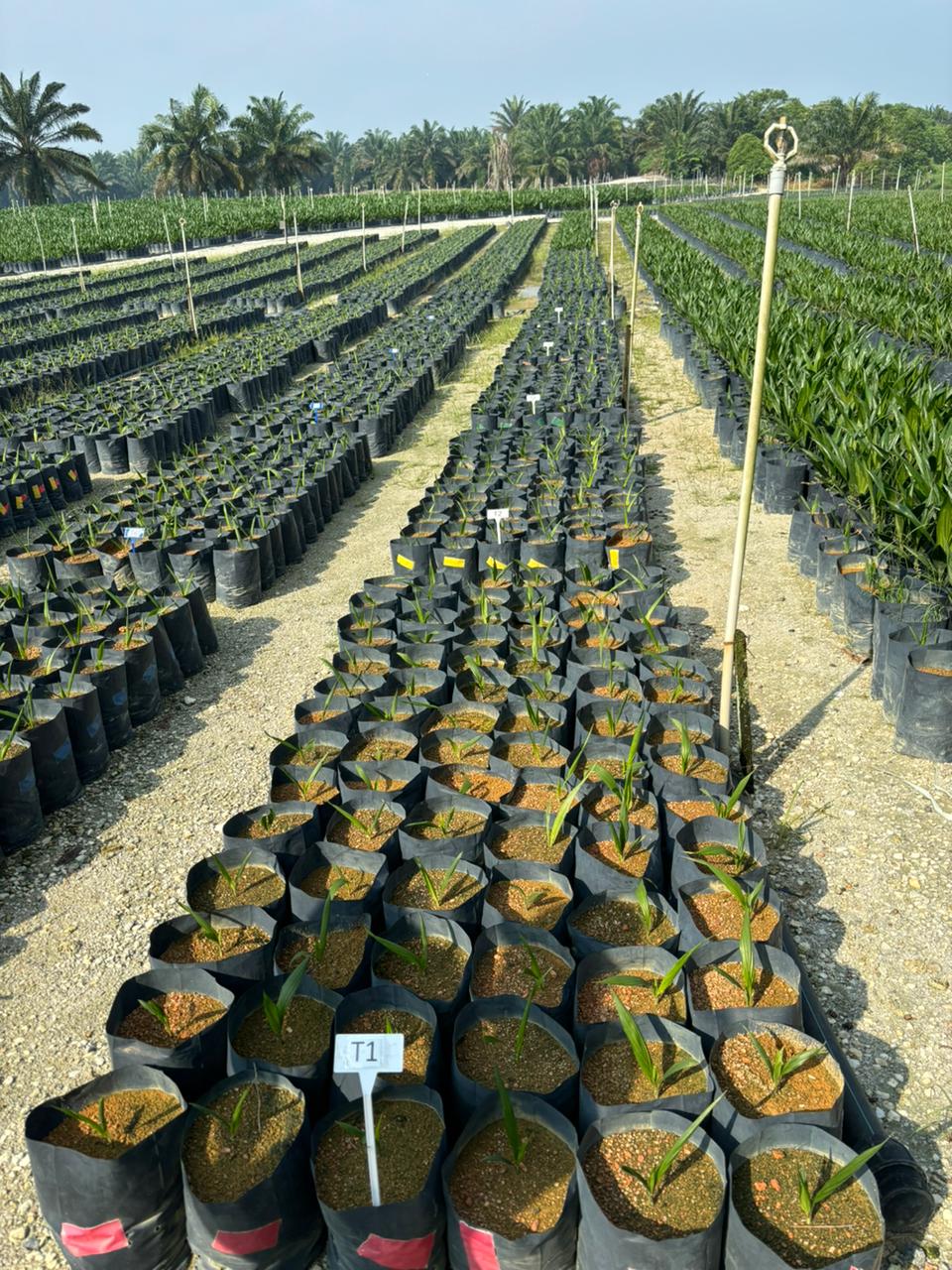 Zytex Biotech Company Mumbai, India Enzymes & Biotech Products