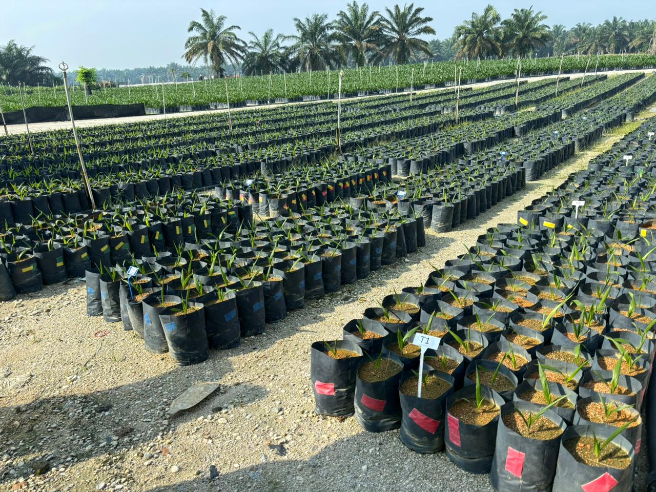 Zytex Biotech Company Mumbai, India Enzymes & Biotech Products