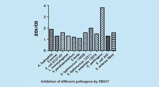 Bacillus velezensis ZBG17