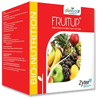 FruitUp