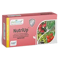 NutriUp�
