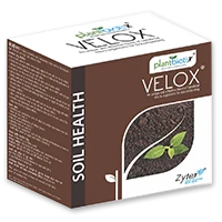 Velox