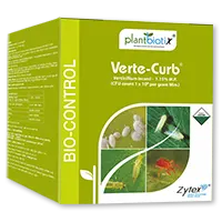 Verte-Curb