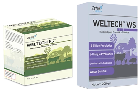 WELTECH